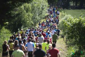 dndesign_Tek pod Pohorjem-241